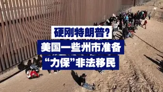 硬刚特朗普？美国一些州市准备“力保”非法移民