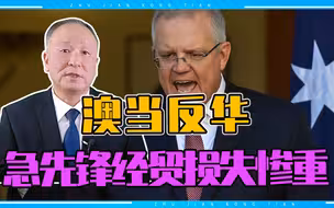 澳当反华急先锋经贸损失惨重，但美却钻空渔利，澳人是否肠子悔青