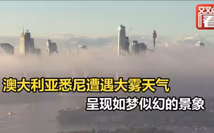 澳大利亚悉尼遭遇大雾天气 呈现如梦似幻的景象