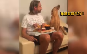 狗：我是绝对不要吃你的东西的！