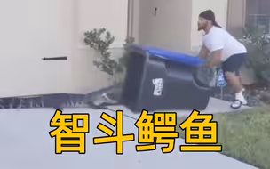 我有孩子要保护！毫无防护，男子推垃圾桶捕擅闯家门短吻鳄