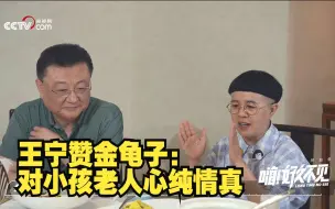 王宁赞金龟子是逆生长：对小孩老人心纯情真