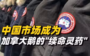 双标的加拿大鹅：为补短板，加拿大鹅持续“加码”中国市场