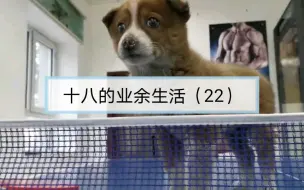 【第22集】十八的业余生活，围观兵哥玩耍！