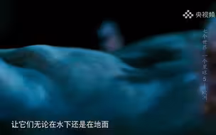 “龙的幼崽”什么样？