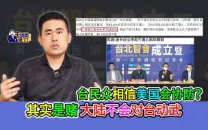 王炳忠：台民众相信美国会协防？其实是赌大陆不会对台动武
