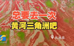 总要去一次黄河三角洲吧 每一帧都美成壁纸