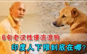 三观毁尽！印度老头性侵40余只流浪狗，被捕后还狡辩：狗又没反对