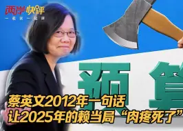 蔡英文2012年一句话，让2025年的赖当局“肉疼死了”！