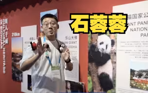 北京冬奥会有义墩墩，成都大运会有石蓉蓉 | 吉祥物太可爱了怎么办？