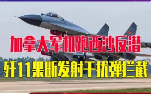 加拿大军机跑西沙反潜，歼11果断发射干扰弹拦截，加自曝险些坠毁