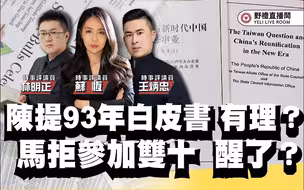 陈凤馨提1993对台白皮书有理？ ft.【王炳忠Ｘ苏恒Ｘ林明正】