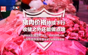 三农锐评丨猪肉价格持续下行， 收储之外还能做点啥？