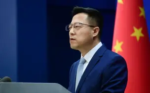 赵立坚称美式民主是富人金钱游戏