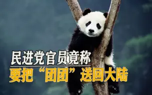 大熊猫“团团”病情牵动人心，民进党竟口出恶言：要不送还大陆