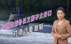 要完坦克还不够，乌克兰副外长又狮子大开口，对德讨要潜艇