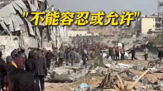 埃及总统表态：不能容忍或允许驱逐巴勒斯坦人