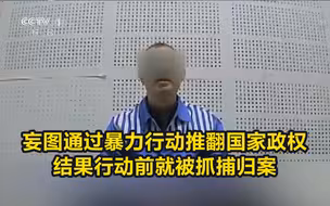 妄图通过暴力行动推翻国家政权，结果行动前就被抓捕归案