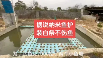 高价买纳米鱼护 只为每天抽一包白条帮大家喂王八