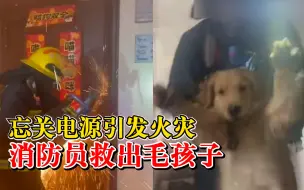 狗狗火灾中被救出一脸懵：主人烘烤衣物时外出