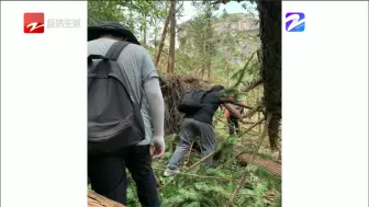 主播朋友圈：全部都是倒了的大树