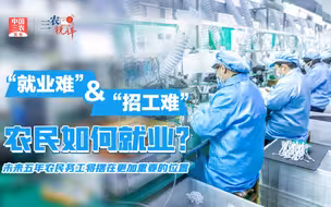 三农锐评丨三农快评 “就业难”&“招工难”农民如何就业？