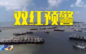 台风“烟花”已登陆：风暴潮和海浪双红预警！