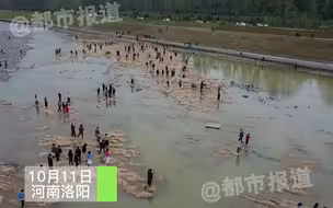 都市报道【众人围观 伊河惊现“雅丹地貌”？ 河水冲刷出一片“波浪”砂岩】