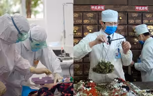 中西医谁家强？张伯礼：争论无聊 治好病是关键