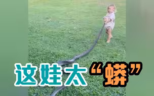 澳大利亚男子教两岁儿子徒手抓巨蟒