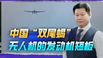 中国“双尾蝎”仍使用活塞发动机，未来有希望挂鹰击21，非常强悍