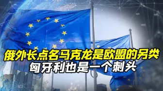 俄外交长点名马克龙，欧盟“另类”，除此之外，欧盟还有一个刺头