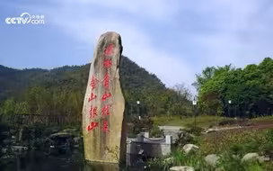 微视频丨绿水青山映初心#绘就美丽中国新画卷