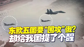 瑞典战机拦截俄战机，东欧五国竟都想效仿！却给我国提了个醒