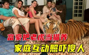 不忍马戏团老虎被虐，巴西富豪带2只老虎回家，互动照片太吓人