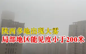 陕西多地出现大雾：局部地区能见度小于200米
