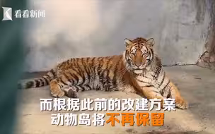 爷青结！老虎狮子再见！上海和平公园闭园改建不再保留动物岛