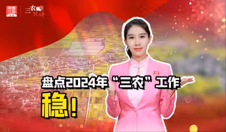 三农锐评丨盘点2024年“三农”工作，稳！