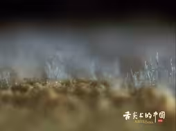 一条视频看食物背后的微观哲学