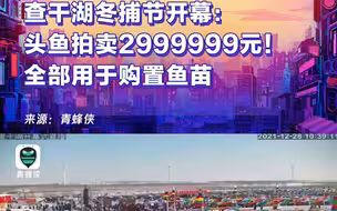 查干湖冬捕节开幕：头鱼拍卖2999999元！全部用于购置鱼苗