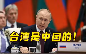 中俄元首会晤 普京郑重表态：台湾是中国的！