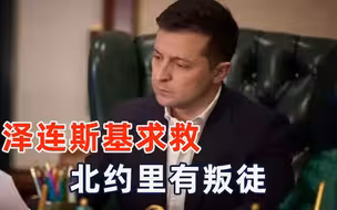 “全球巡演”结束，泽连斯基向北约索要武器，称峰会上能发现叛徒