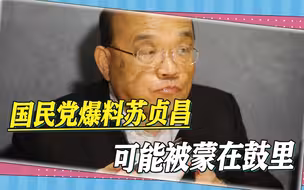 围绕台北故宫文物损坏，国民党再爆猛料，苏贞昌可能也被蒙在鼓里