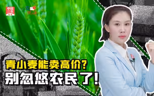 三农锐评丨青小麦能卖高价？别忽悠农民了！