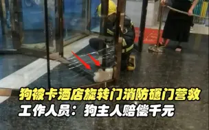 宠物狗被卡酒店旋转门消防砸门营救 工作人员：狗主人赔偿千元