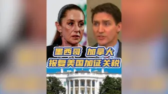 墨西哥加拿大报复美国加征关税