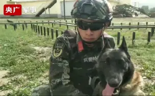 就是这么酷！警犬飞扑助擒一招制敌