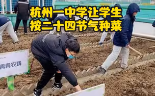 杭州一中学让学生按二十四节气种菜