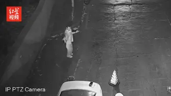 公路上跳广场舞？原来是酒驾被查后“放松”