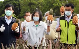 收买农民心？蔡英文砸3.23亿买农产品堆肥
